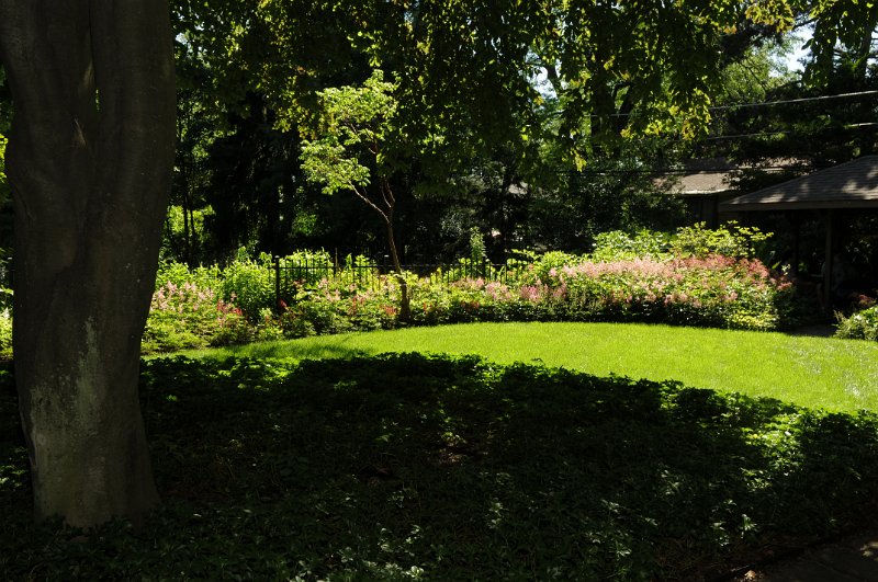100619_102.JPG